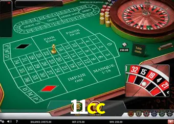 Descubra a Essência do 11cc: Nossa História e Compromissos